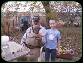 FREE Nitrogen - Potatoes